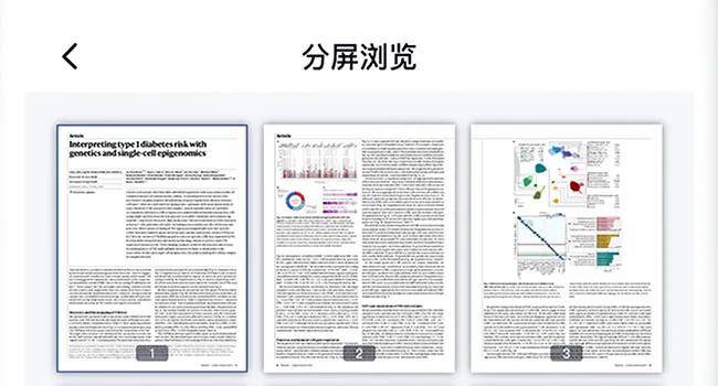 2024精準(zhǔn)資料免費大全,快速解答方案設(shè)計_隨身版35.417