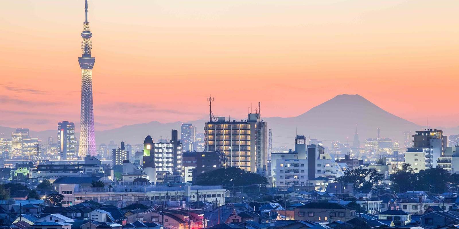 東京疫情最新人數(shù)，自然療愈與內(nèi)心平靜的尋找之旅