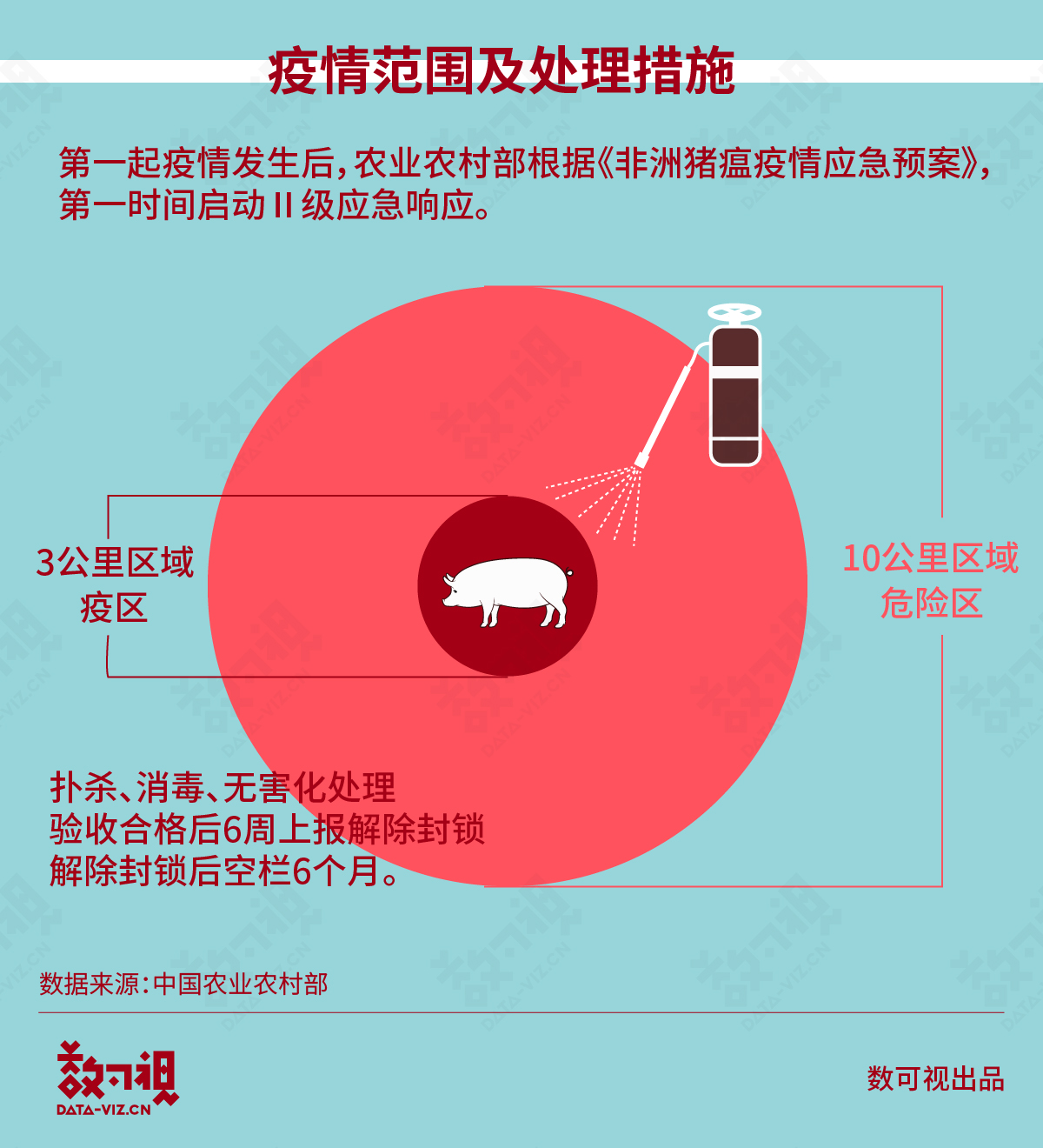 今日豬瘟疫情最新動態(tài)，希望與力量的匯聚