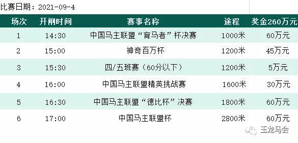 今晚9點(diǎn)30分的特馬,策略規(guī)劃_設(shè)計(jì)師版98.899