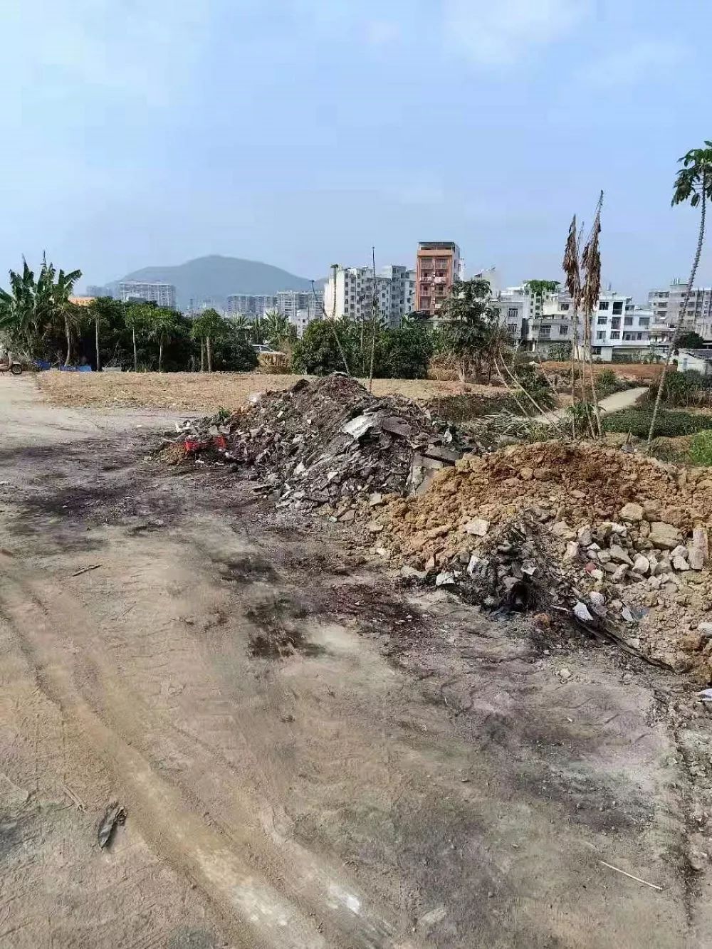 岑溪糯垌新塘的蛻變之路，勵(lì)志之光照亮自信與成就感之路