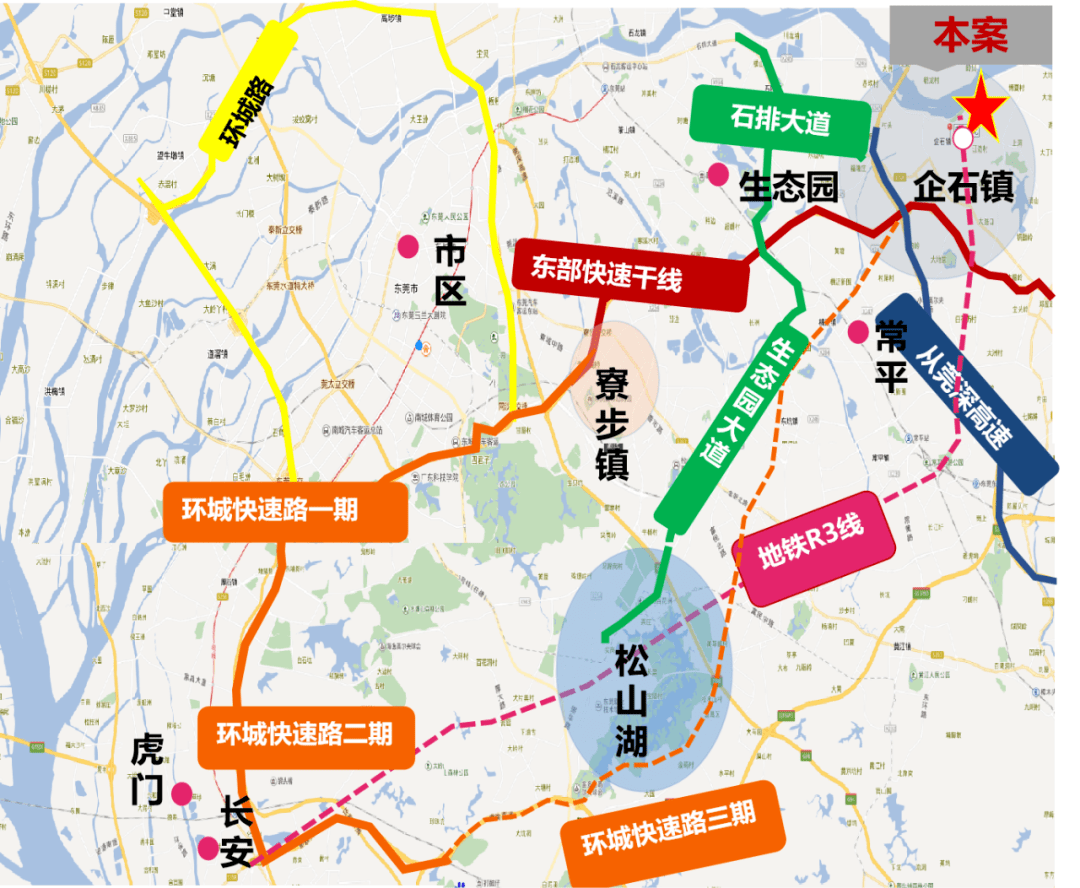 寧思專最新動態(tài)，時(shí)代浪潮中的矚目焦點(diǎn)
