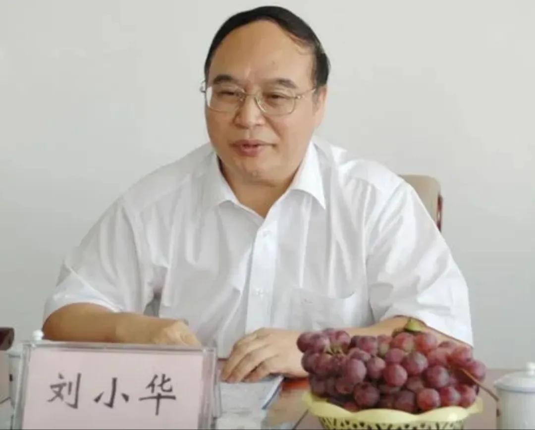 湛江市委領(lǐng)導名單及獲取步驟指南（初學者與進階用戶適用）