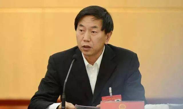 靈石張李虎最新任職揭曉，探尋職業(yè)新篇章的神秘面紗