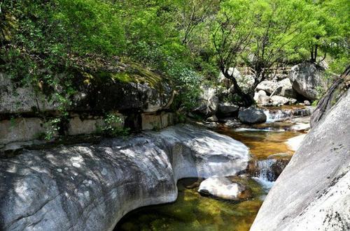 魯山老泉的最新動(dòng)態(tài)與消息更新