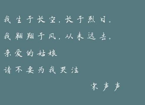 犯罪心理長洱txt最新，變化、學(xué)習(xí)與自信的力量