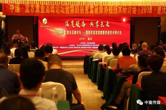 雞病專(zhuān)業(yè)網(wǎng)最新論壇，心靈與自然的完美交融