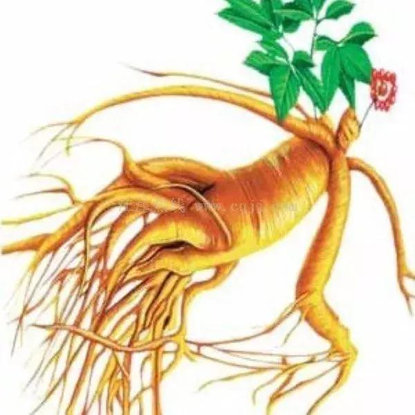 最新井陘礦區(qū)房源出售，家的溫馨與友情交織的居所